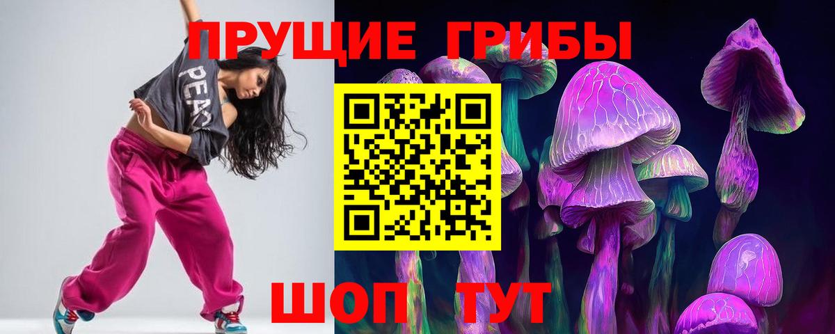 Псилоцибиновые грибы Psilocybe Моршанск