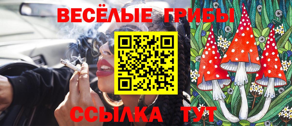Моршанск  Галлюциногенные грибы Psilocybe  Псилоцибиновые грибы Psilocybine cubensis  Вход с VPN 